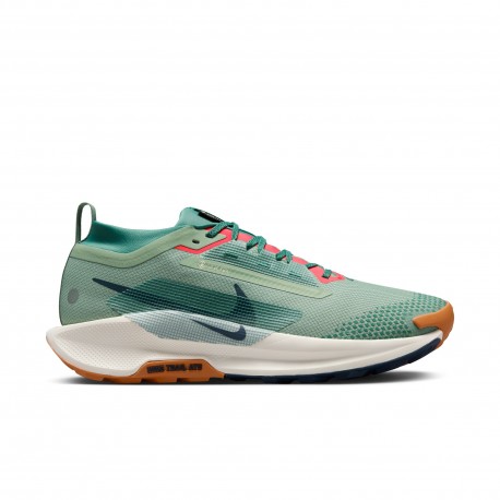 Nike Pegasus Uomo WhyRun