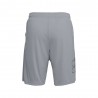 Under Armour Shorts Sportivi Grafic Grigio Uomo